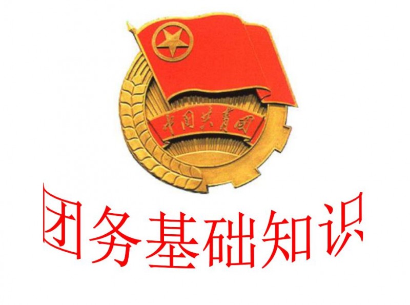 中国共青团团务知识